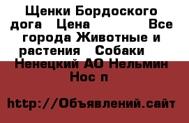 Щенки Бордоского дога › Цена ­ 60 000 - Все города Животные и растения » Собаки   . Ненецкий АО,Нельмин Нос п.